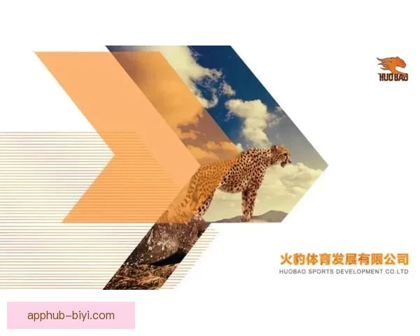 必一体育最新注册入口详解及操作指南全面攻略